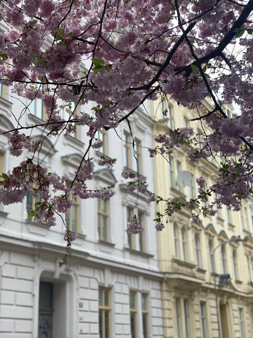 Comfort Place Brno, Hybesova Exterior photo